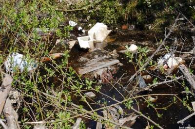 Дачников Коми предупредили о штрафах за мусор в лесу