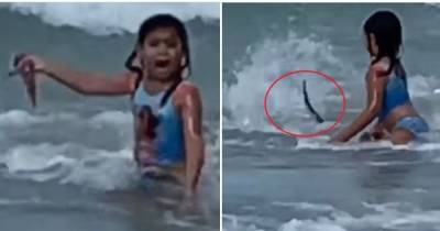 Американка случайно записала видео, как ее 6-летняя дочь спасается от акулы