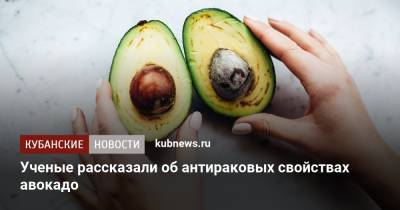 Ученые рассказали об антираковых свойствах авокадо