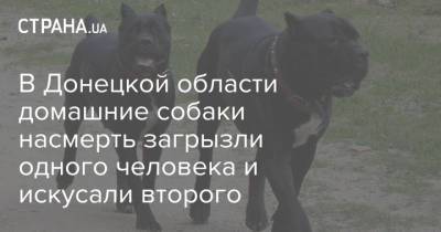 В Донецкой области домашние собаки насмерть загрызли одного человека и искусали второго