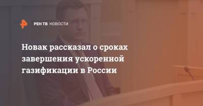 Новак рассказал о сроках завершения ускоренной газификации в России