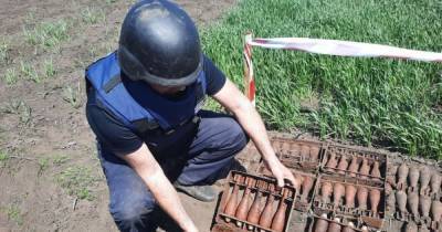 Житель Харьковской области выкопал на огороде сотни мин и снарядов
