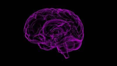 Нейробиологи разработали сканер для "стирания" памяти