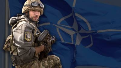 Белый дом вычеркнул из обращения слова поддержки вступления Украины в НАТО