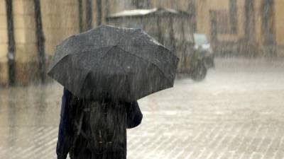 МЧС Ленобласти объявило в регионе штормовое предупреждение из-за сильных дождей
