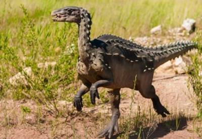 В Китае найдены останки динозавра неизвестного вида