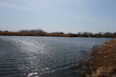 В водоеме в Липецкой области нашли труп пропавшего два месяца мужчины