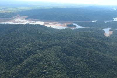 Специалисты зафиксировали продолжение рубки лесов в бразильской Амазонии