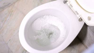 Опасность в общественных туалетах: куда долетают брызги из унитазов