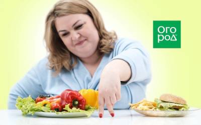 7 шагов к правильному питанию и похудению