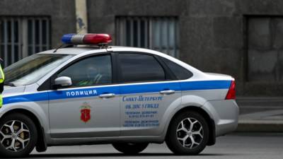 Полиция ищет мужчину, избившего школьницу в Петроградском районе Петербурга