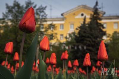 Синоптики Кузбасса дали прогноз погоды на 9 мая