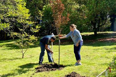 В Сочи сажают деревья в рамках акции «Сад памяти»