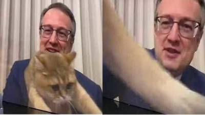 Геращенко показал своего кота, который стал звездой эфира на ТВ