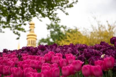 В Киеве открылась самая большая за всю историю выставка цветов под открытым небом. ФОТОрепортаж