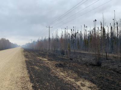 В Канаде бушует лесной пожар: тысяча гектаров уничтожены – фото