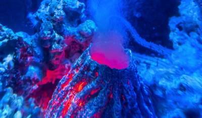 Океаны забурлили от подводных вулканов