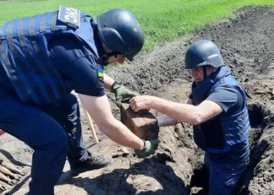 В Харьковской области мужчина на своем огороде откапал больше сотни снарядов времен Второй мировой войны. ФОТОрепортаж