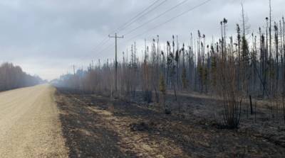 В Канаде бушует лесной пожар, более тысячи гектаров уже уничтожены