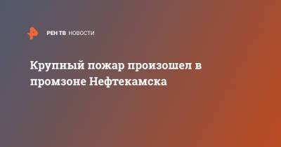 Крупный пожар произошел в промзоне Нефтекамска