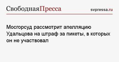 Мосгорсуд рассмотрит апелляцию Удальцова на штраф за пикеты, в которых он не участвовал