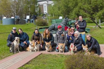 Собаководы-любители почтили память четвероногих участников войны