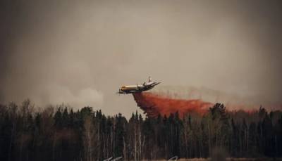 В Канаде горят тысячи гектаров леса
