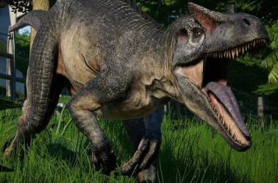 В Китае нашли останки неизвестного вида динозавров