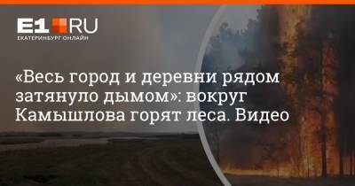 «Весь город и деревни рядом затянуло дымом»: вокруг Камышлова горят леса. Видео