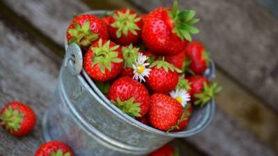 Чудо-ягода не для всех: диетолог о клубнике