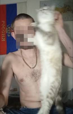 Информацией о стримере-живодере из Твери, мучающем кошку, заинтересовались в Госдуме