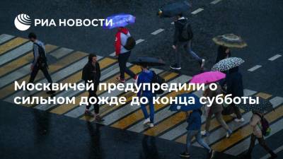Москвичей предупредили о сильном дожде до конца субботы