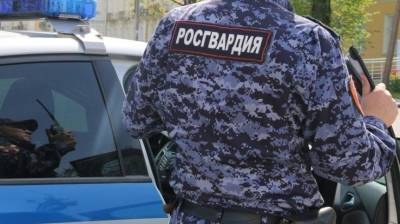 Подозреваемые в краже телефона у посетителя бара задержаны в Северодвинске
