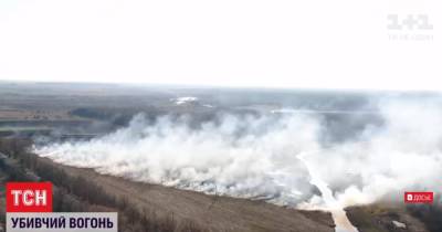 В Полтавской области из-за сжигания сухостоя погибла 72-летняя женщина
