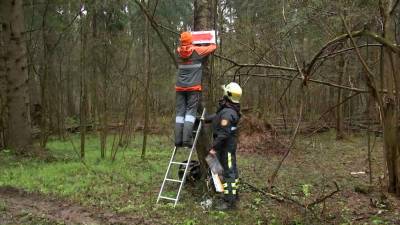 Волонтёры "ЛизаАлерт" установили в лесах Подмосковья быструю навигацию