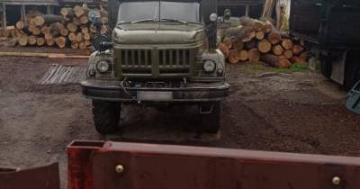Полмиллиона убытков: в Сумской области работники лесхоза незаконно вырубали дубы (3 фото)