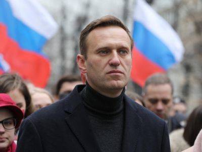 Волков сообщил о планах Amnesty International вернуть Навальному статус узника совести