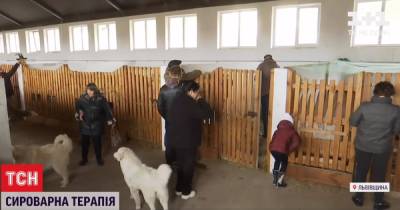 Ферма и сыроварня: во Львовской области священник учит работе людей с инвалидностью