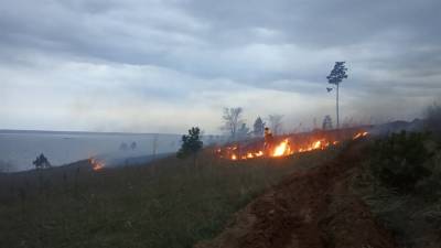 Любители шашлыков спалили лес в Ульяновской области