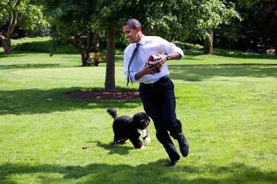 Барак Обама сообщил о смерти своей собаки