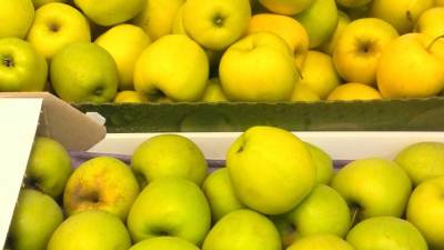 Диетолог Бурляева оценила полезные свойства прошлогодних фруктов и овощей