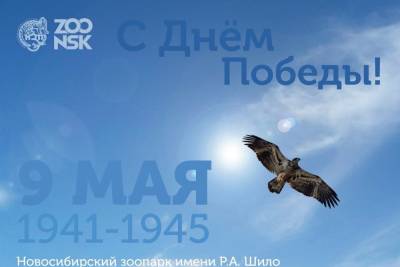 Ретровыставка автомобилей в честь Дня Победы пройдет 9 мая в Новосибирском зоопарке