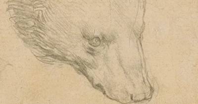Рисунок медведя Леонардо да Винчи выставят на аукцион за $16,7 млн