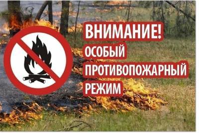 Ни в лес, ни по дрова: в Ярославской области введен особый пожароопасный режим.