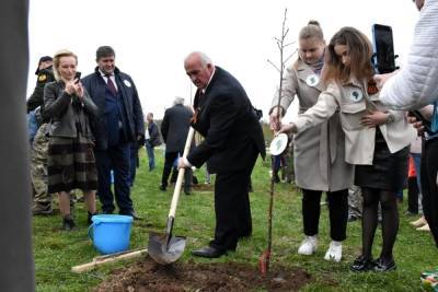 В костромском «Саду памяти» волонтеры и губернатор Ситников высадили первые 25 рябин