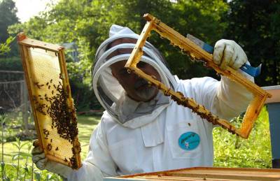 Пчеловоды Луганщины активно паспортизуют пасеки
