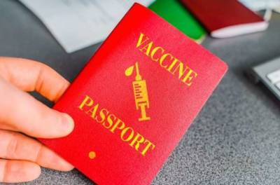 Названы сроки появления паспортов вакцинации в ЕС - lenta.ua - Ляйен