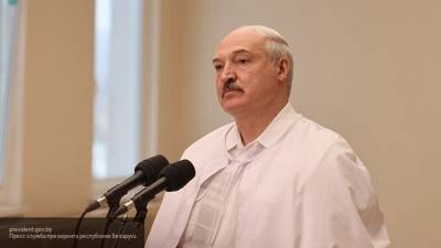 Основные пункты декрета Лукашенко «О защите суверенитета и конституционного строя»