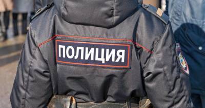 Четверо мужчин избили полицейских в Новой Москве