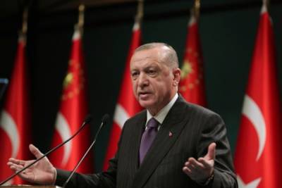 Эрдоган заклеймил Израиль «террористическим государством»